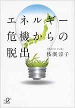 エネルギー危機からの脱出[文庫版]